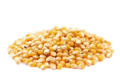 Corn